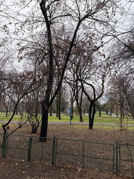 Parcul Circului, str. Judetului, bd. Lacul Tei,