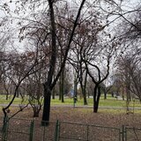 Parcul Circului, str. Judetului, bd. Lacul Tei